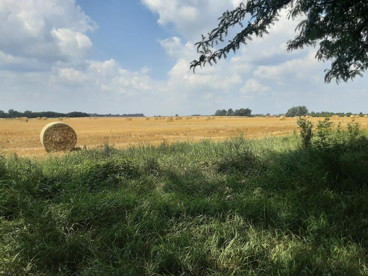 Herberg Tisza Tiszababolna Екстер'єр фото