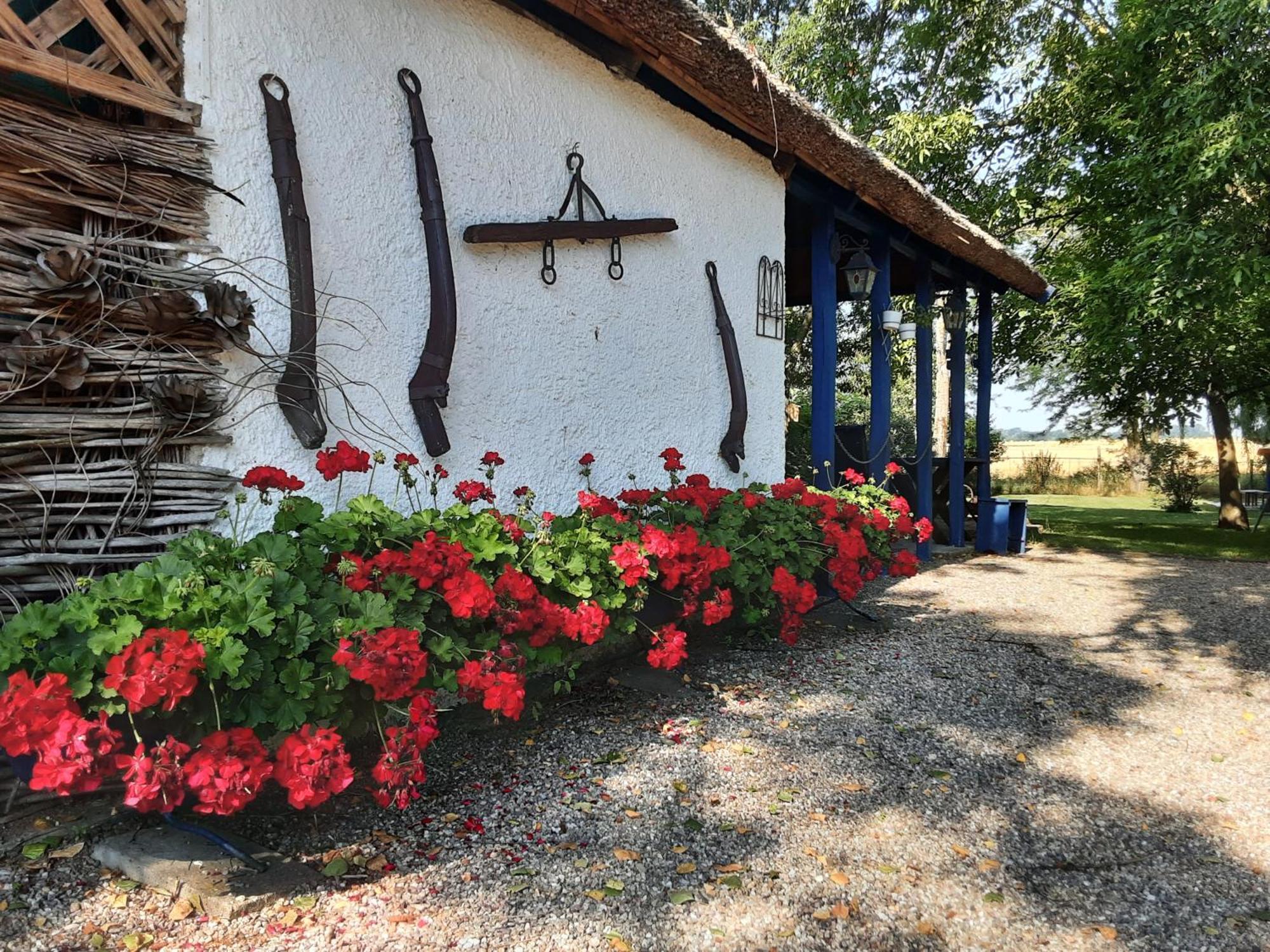 Herberg Tisza Tiszababolna Екстер'єр фото